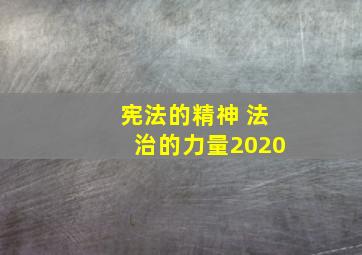 宪法的精神 法治的力量2020